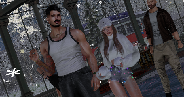 Snapshot-2025-12-19-212430-001