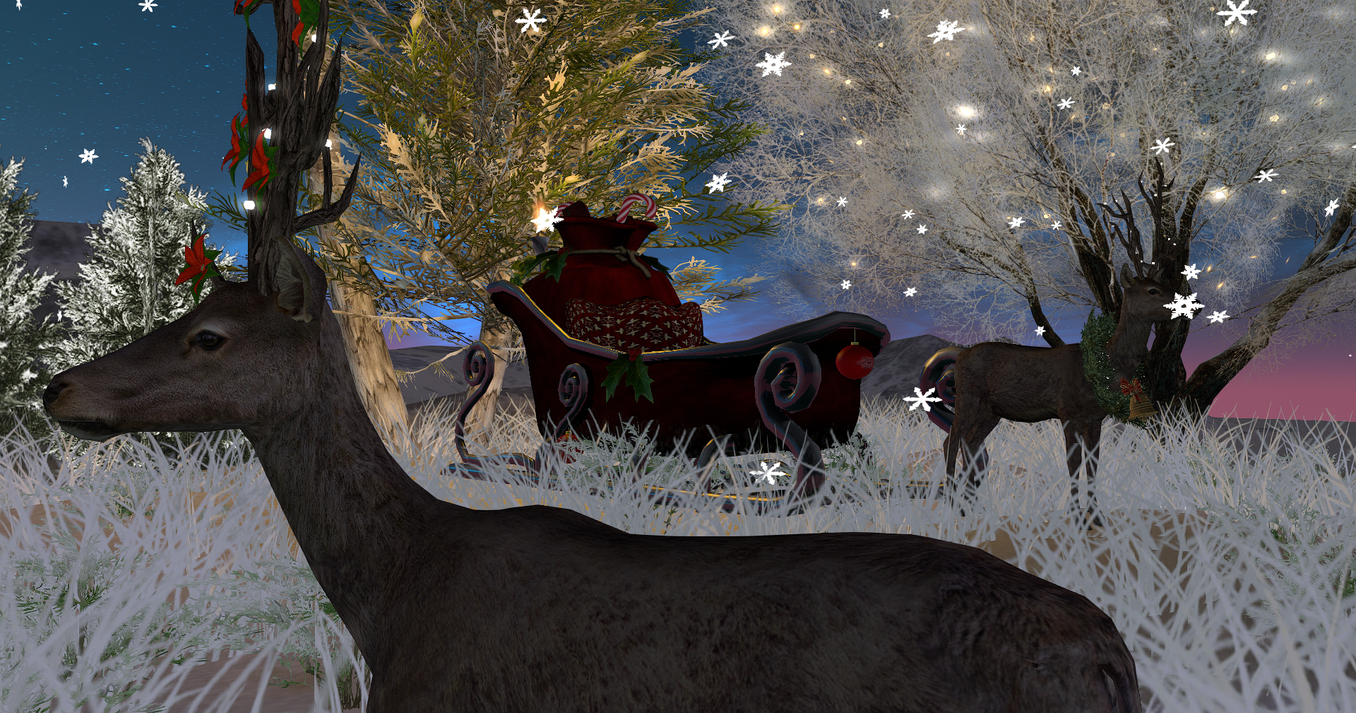 Snapshot-2025-12-21-230642-001