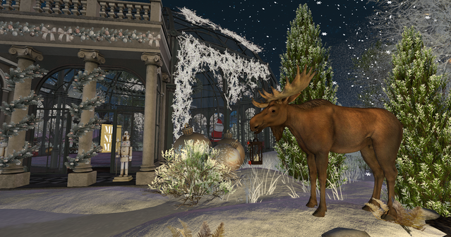 Snapshot-2025-12-21-232136-001